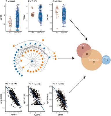 Comprehensive Analysis of Metabolic Genes in Breast Cancer Based on Multi-Omics Data